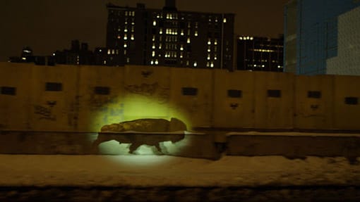 Projection of a silhouette of a bison