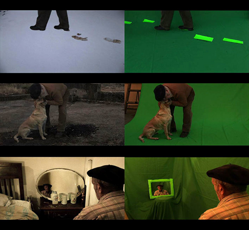 A grid displaying a comparison beween green screen shots and the final result, A man walking in the snow, a man kissing his dog, a man looking into the mirror