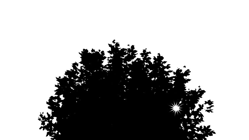 A black and white silhouette of a tree with light beaming through